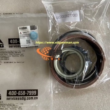 ORIGINAL SDLG Sealing Kit 4120020277003 APPLY FOR SDLG MOTOR GRADER G9165 G9180 G9190 G9220