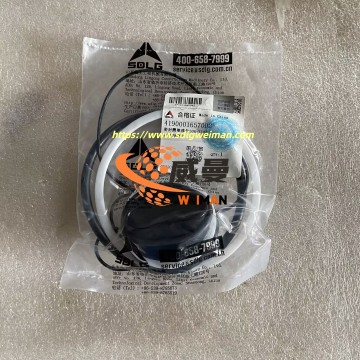 ORIGINAL SDLG Sealing Kit 4190001657002 APPLY FOR SDLG MOTOR GRADER G9180 G9190 G9200