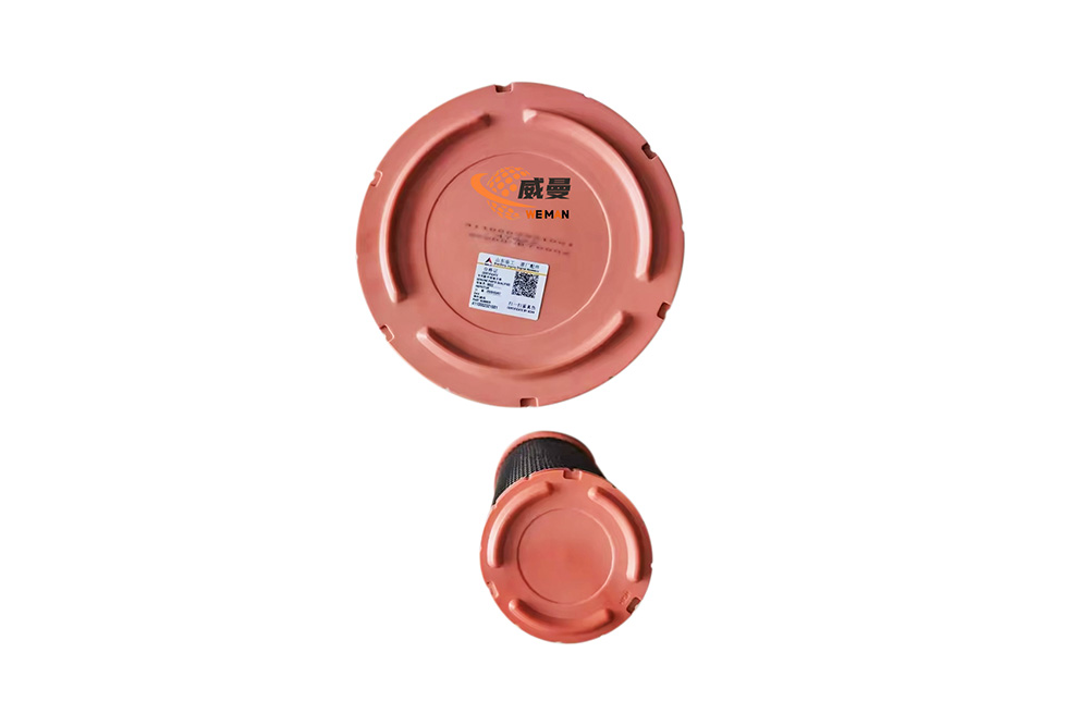 4110002321001 air filter  3.jpg