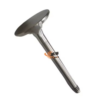 High quality TD226B engine cylinder head valve 12159608 12159606 with good price