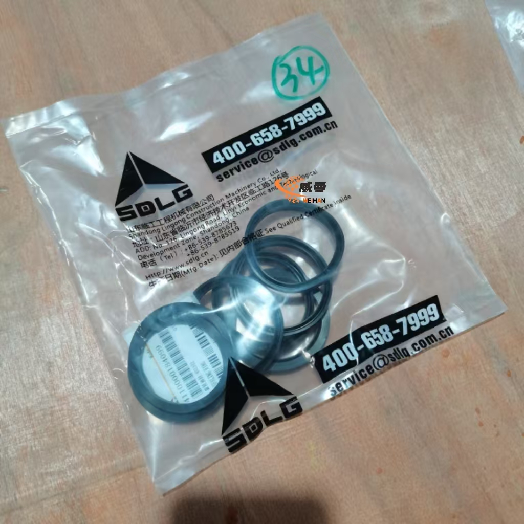 4110000184099 Rotary oil seal