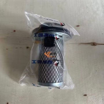 SDLG 4110000613 Elemen penapis tangki bahan api 1kg untuk LG Machinery dengan harga yang berpatutan