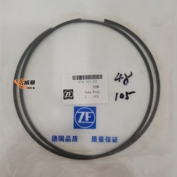 0730513417 0730513417 Bahagian SNAP RING ZF