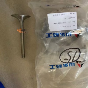 Katup Masuk SDLG 4110000054096 0,14kg untuk mesin dengan harga bagus