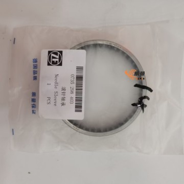 ZF 0735298403 Rolling needle bearing