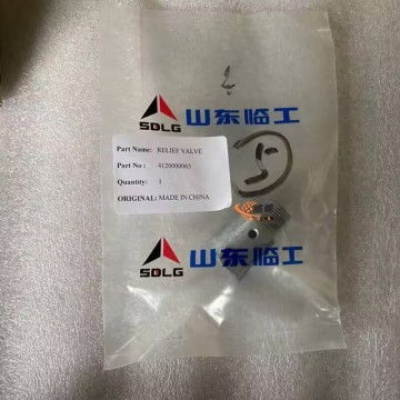 Katup Pengaman SDLG 4120000065 0,08kg untuk mesin dengan harga bagus