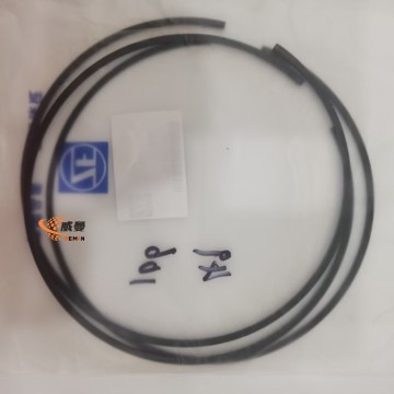 0730513416 ZF 0730513416 ANILLO DE ELECTROVALVULA