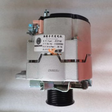 SDLG 411000556263 612600090808 Alternator 7.15kg for machine with good price