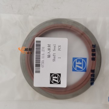 0750111231 Input shaft oil seal 0.08kg Zf 4wg200 Transmission 0750111231 Shaft Seal