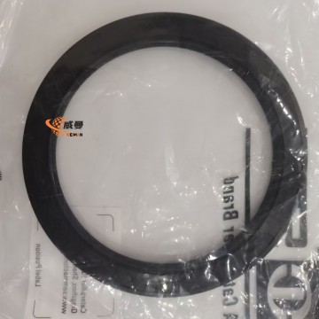 5386709 0.15kg W44000010 Segel oli 5386709 SEM