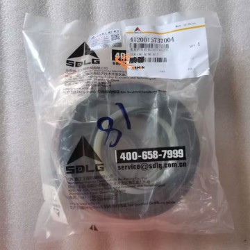 SDLG 4120015737004 Kit Cincin Segel 0,45kg untuk mesin dengan harga bagus
