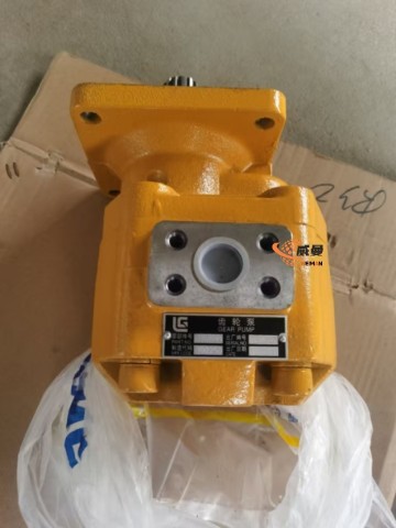Pompa roda gigi 11K0006 CBGJ2063 Pompa roda gigi 11K0006 untuk suku cadang LIUGONG