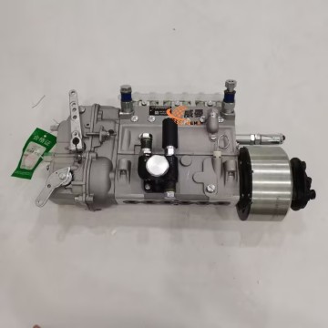 Xinchai Fuel Injection Pump 1111000-017-SG6A 19.6kg 6AW182C 6AW136 for CA6110/125G5 engine with Good Quality