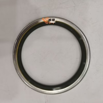 Original Liugong 13B0259 0.06kg Dust for machine with good price