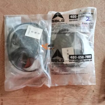 Kit Cincin Segel SDLG 4120001059004 0,15kg untuk mesin dengan harga bagus