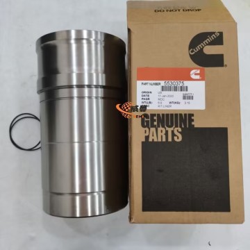 Solenoid Cummins 3974947 0,9kg untuk mesin dengan Kualitas Baik