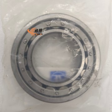 ZF 0750118200 Lager GB283-NJ209E 4021000182 für Maschinen mit guter Qualität und gutem Preis