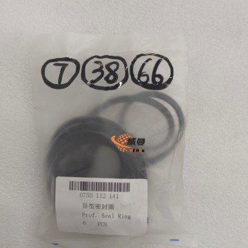 ZF 0750112141 Prof.Seal Ring 4110000076352