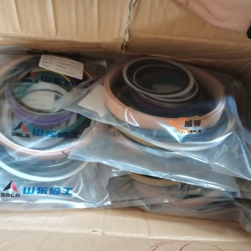 Kit segel SDLG 4120006628004 untuk Wheel Loader LG dengan harga bagus.