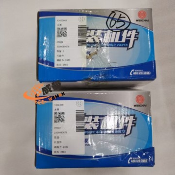 Pompa air Weichai 13023061 untuk mesin dengan Kualitas dan Harga yang Baik