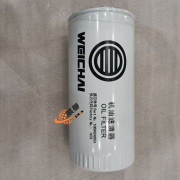 Elemen filter bahan bakar Weichai 1000424655 untuk mesin dengan Kualitas dan Harga yang Baik