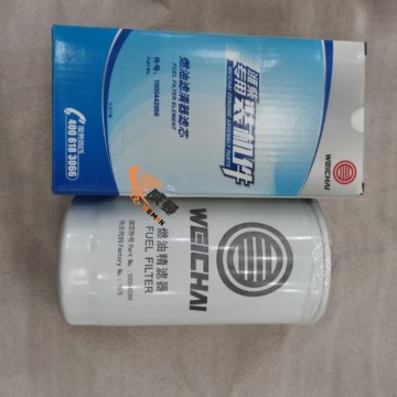 Filter diesel Weichai 1000442956 untuk mesin dengan Kualitas dan Harga yang Baik