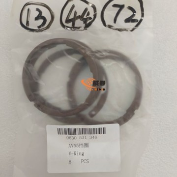 ZF 0630531346 V-링 AV55 4110000076298 (우수한 품질과 가격의 기계용)