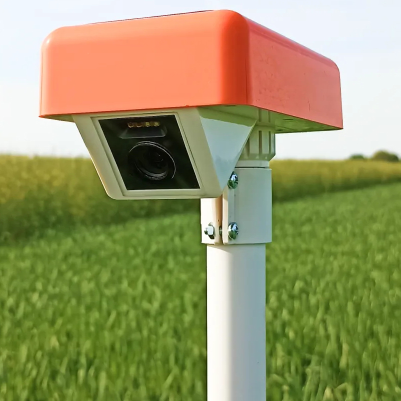 CCTV 