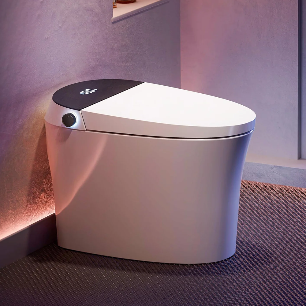 Smart toilet