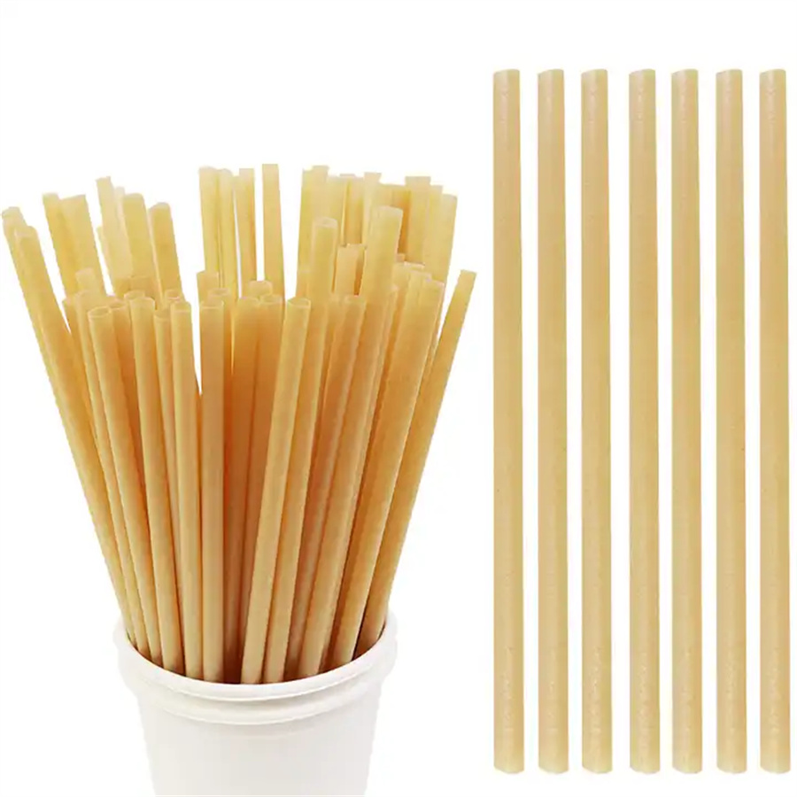 100% Biodegradable Sugarcane Bagasse Long Drinking Disposable Paper Straws