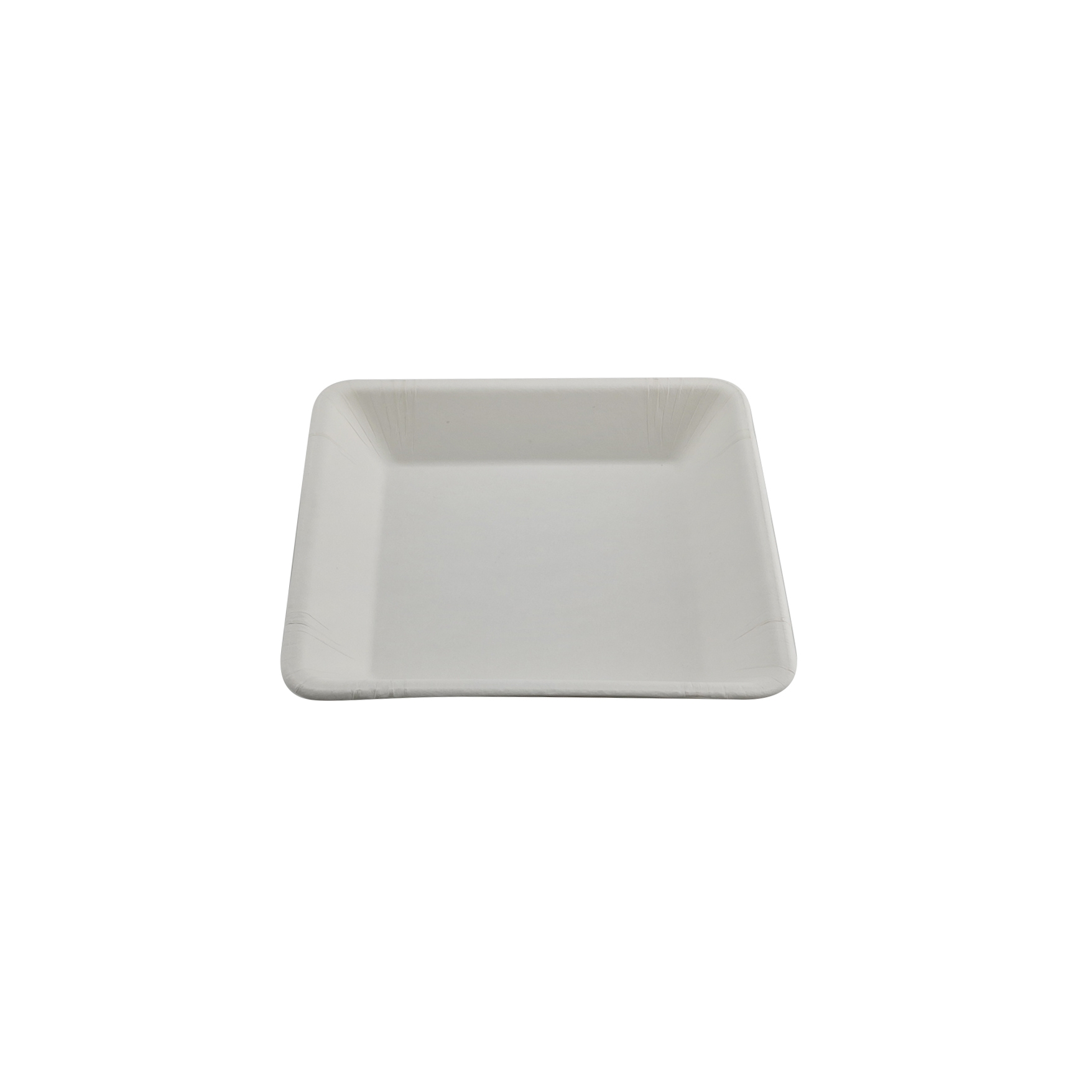 100% Biodegradable Sugarcane Disposable 8 Inch Square Plate