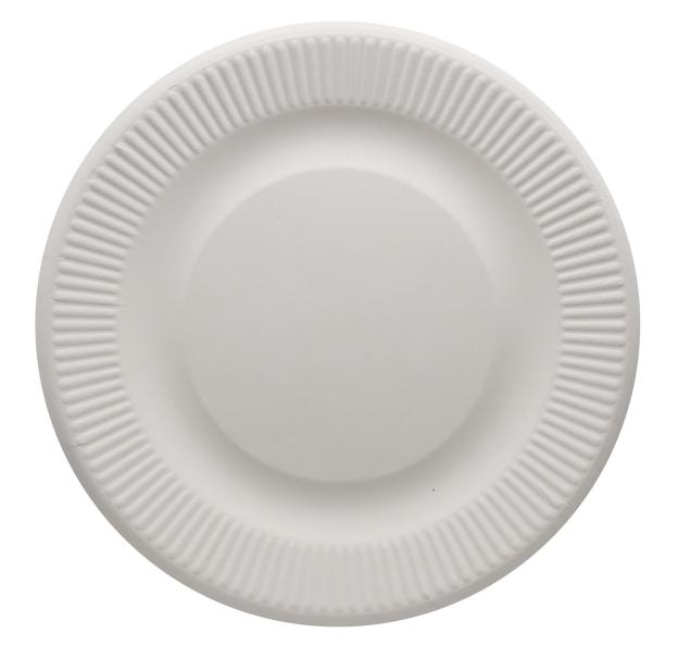 Hot Sales Eco Friendly Biodegradable Bagasse 10 Inch Round Plate