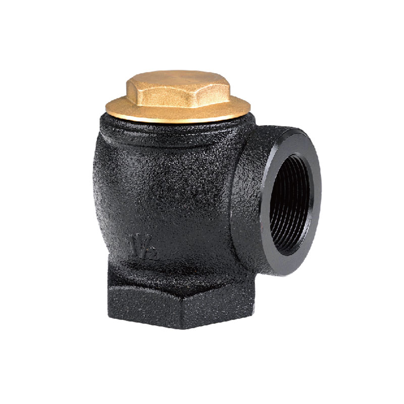 Angle Check Valve