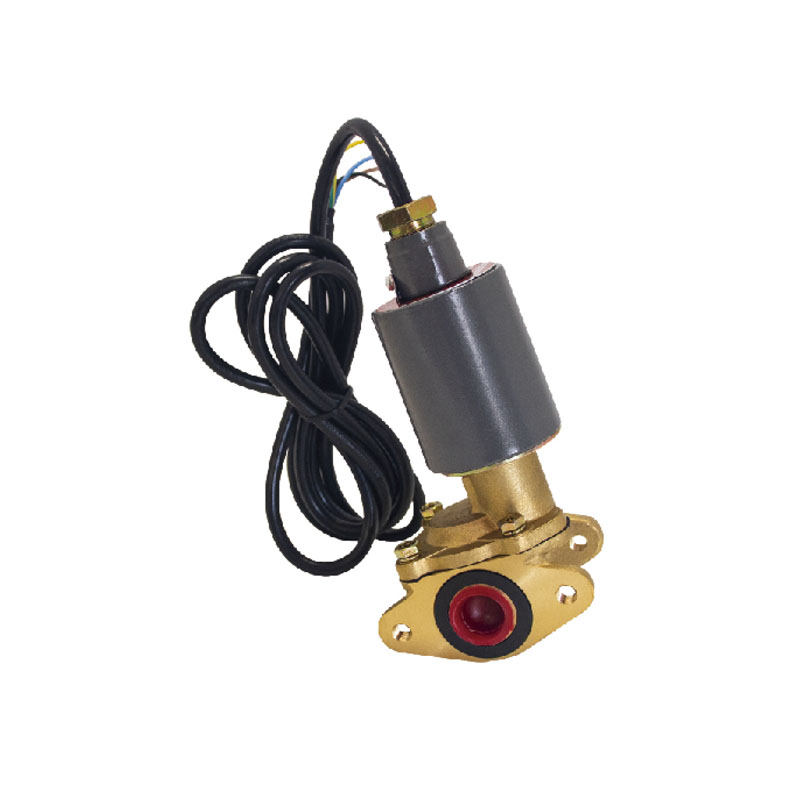 Dual-flow Solenoid Valve For Fuel Dispenser