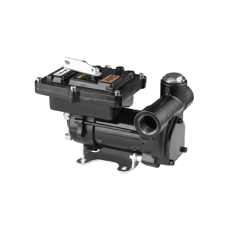 EX-50 13 GPM Ex-Proof Pump Optional thread and flange