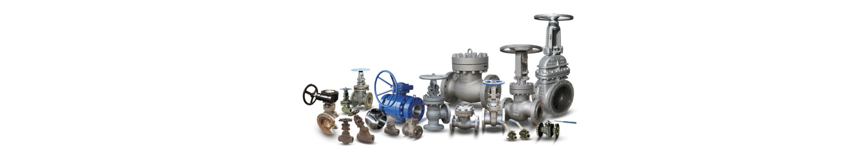 Valve &amp; Pump Parts