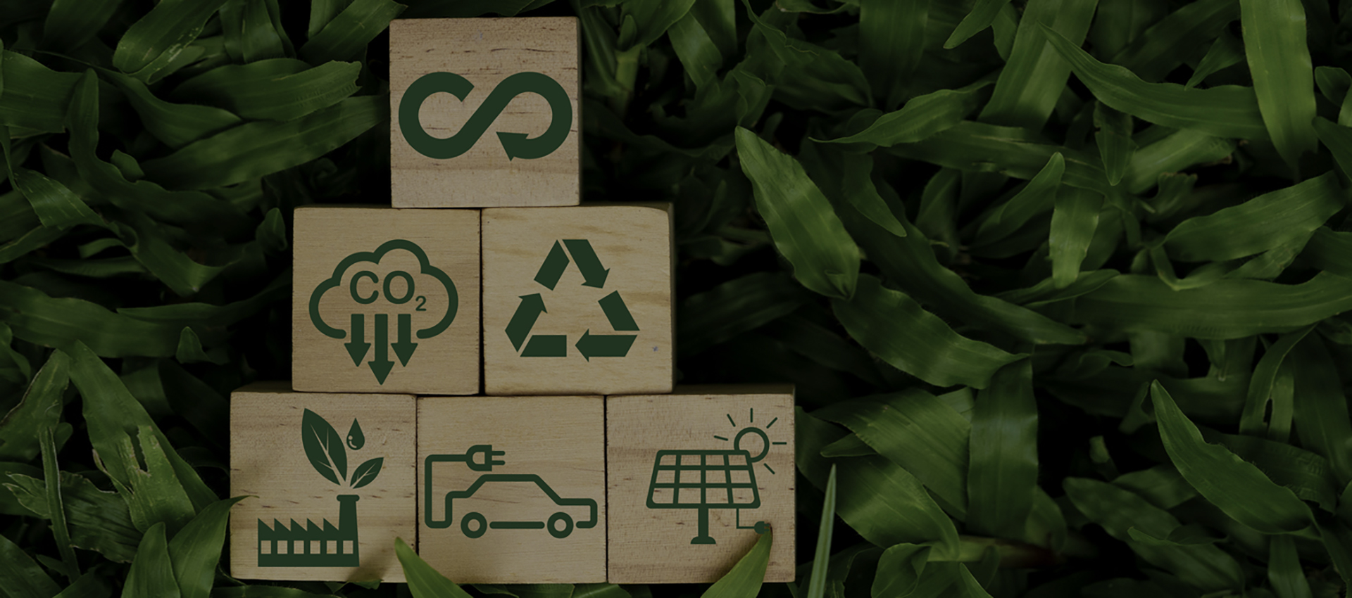 Eco-Friendly Series