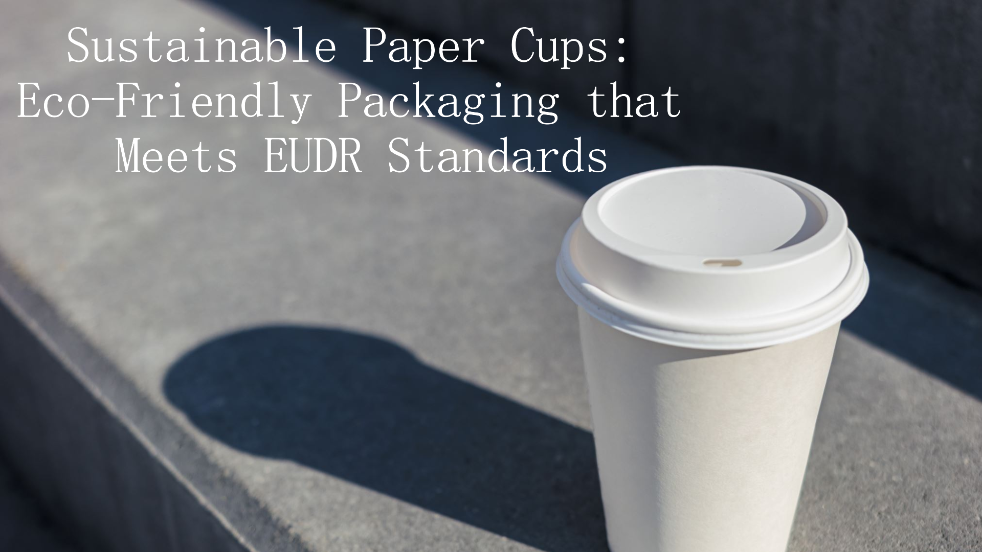 Sustainable Paper Cups: Eco-Friendly Packaging that Meets EUDR Standards
