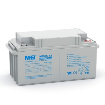 Powerful 12V 65Ah Lead-Acid UPS Battery for Data Centers