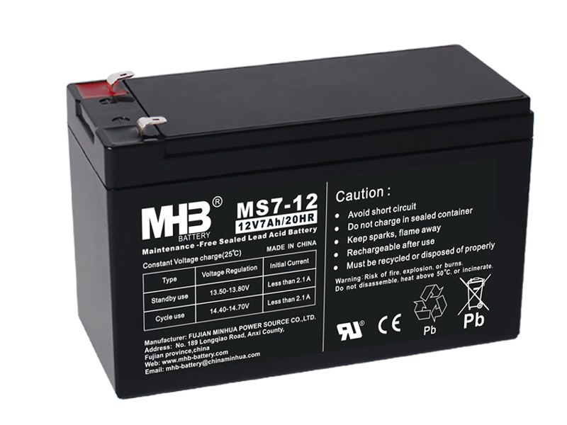 Performance Differences Among Pure Lead Batteries, High-Rate Batteries, and Regular Batteries