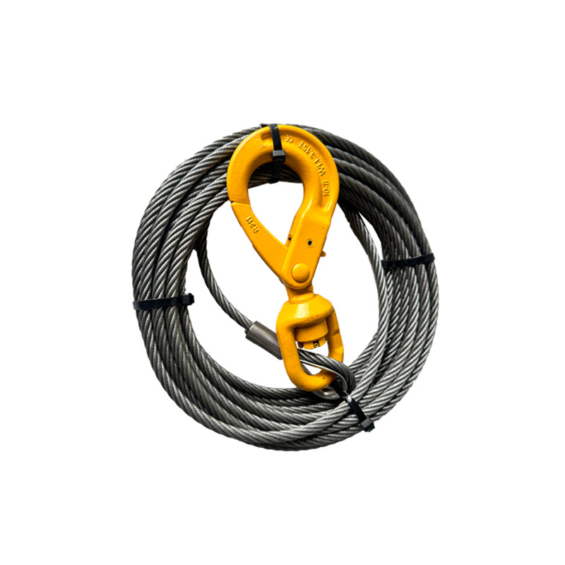 Car Trailer Wire Rope Winch (1)