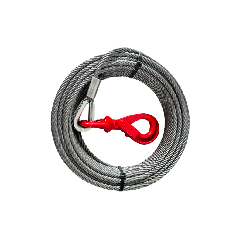 Car Trailer Wire Rope Winch (4)