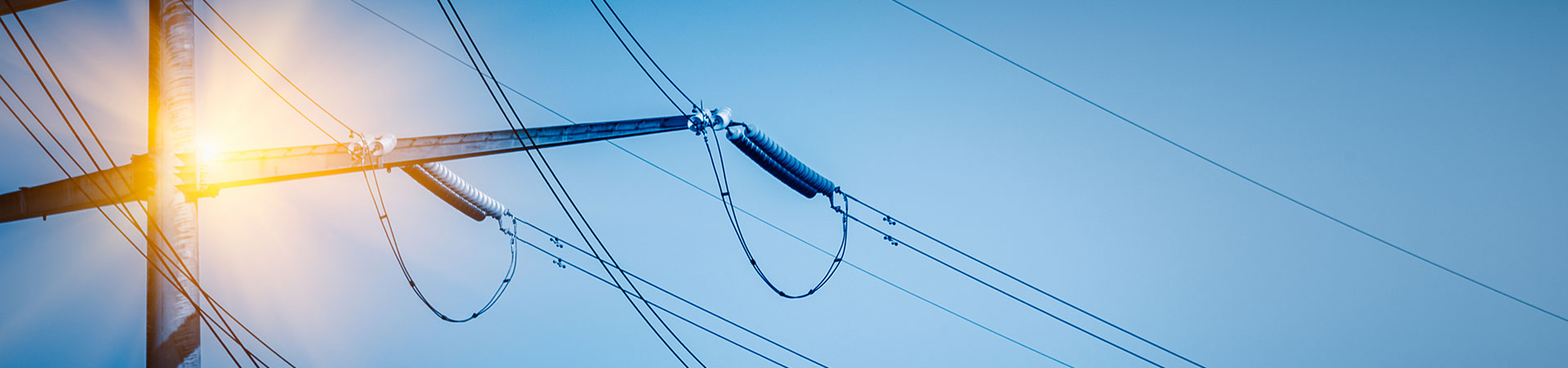 Essential Guide to Wire Rope Cable Netting: Keeping Heavy-Duty Cables Safe