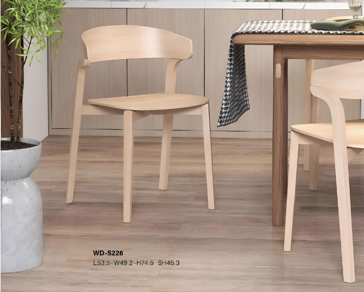 chaise de salle à manger moderne (2)