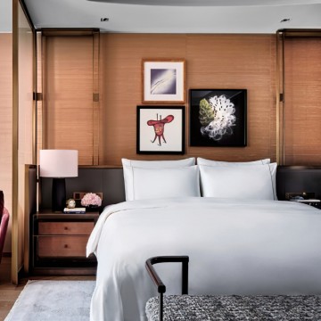 commercial luxury king sofa beds for hotels suppliers