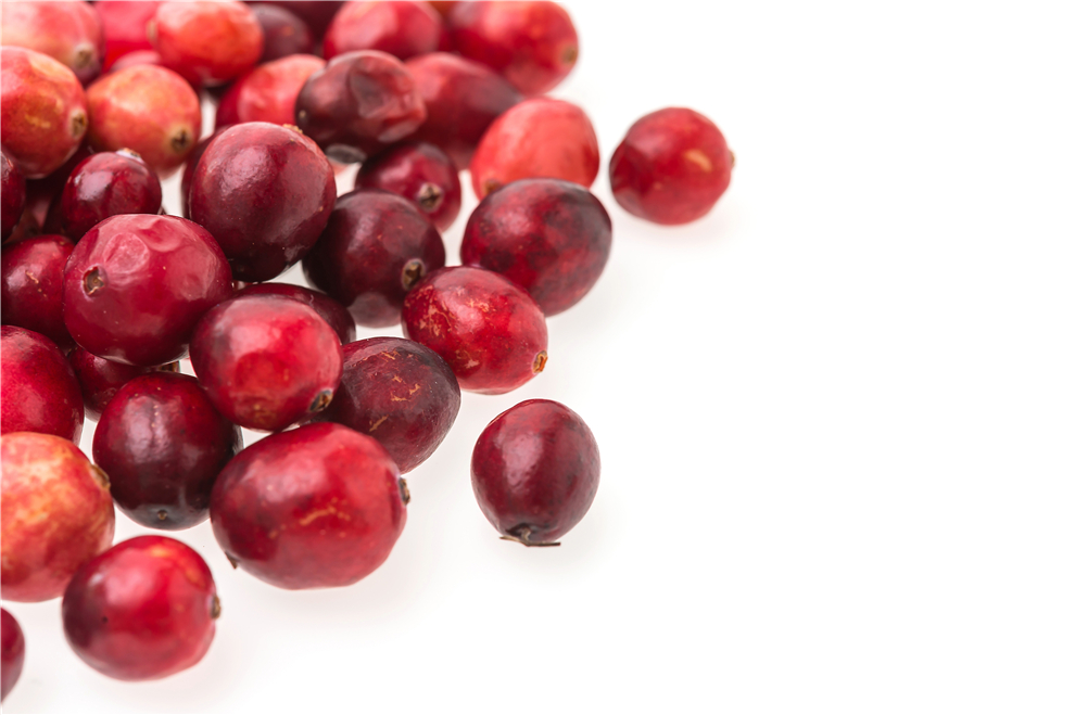 cranberry-freeze-dried