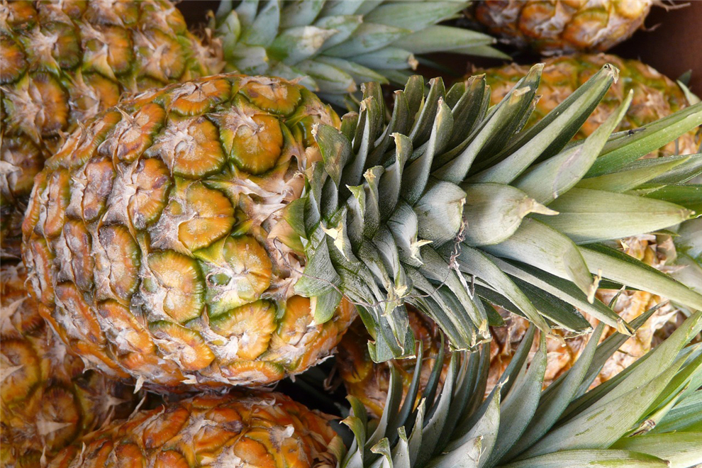 delicious-pineapple-raw-metrial