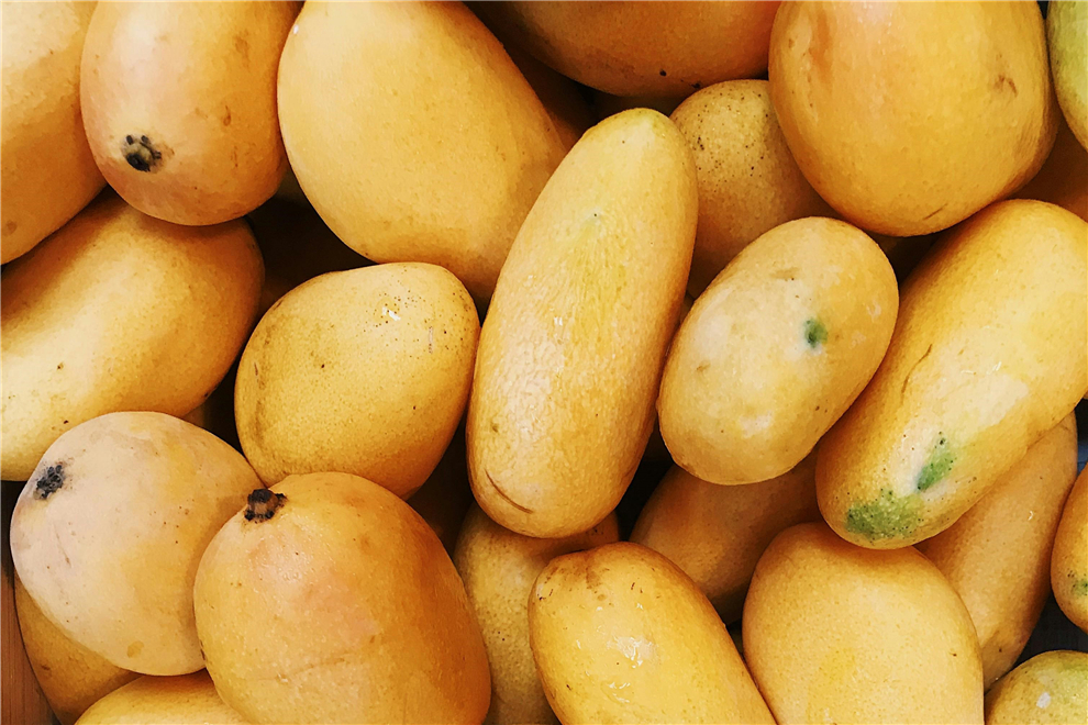 fresh-mango-raw-material