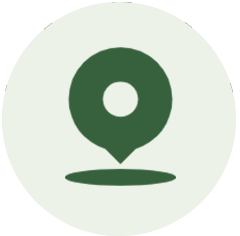 shundi (1)