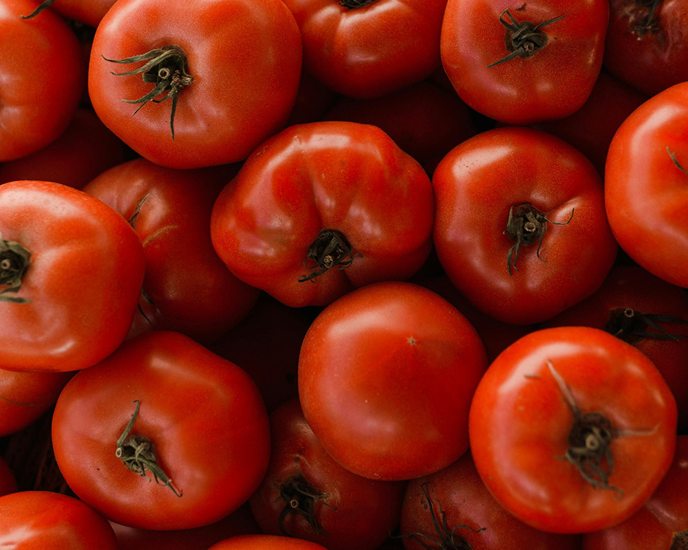 air dried tomatoes raw material